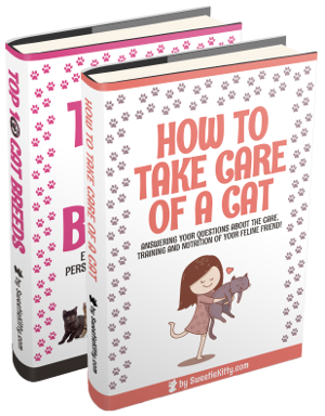 Top 10 Cat breeds e-book