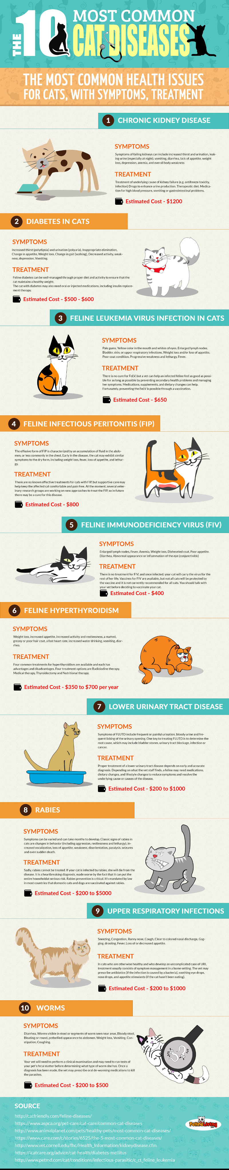 The 10 Most Common Feline Diseases You Should Know About - Infographic - SweetieKitty